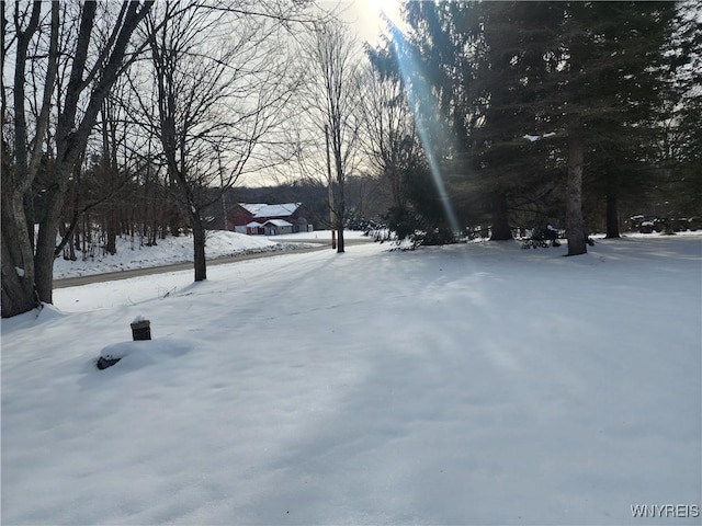 view of yard covered in snow