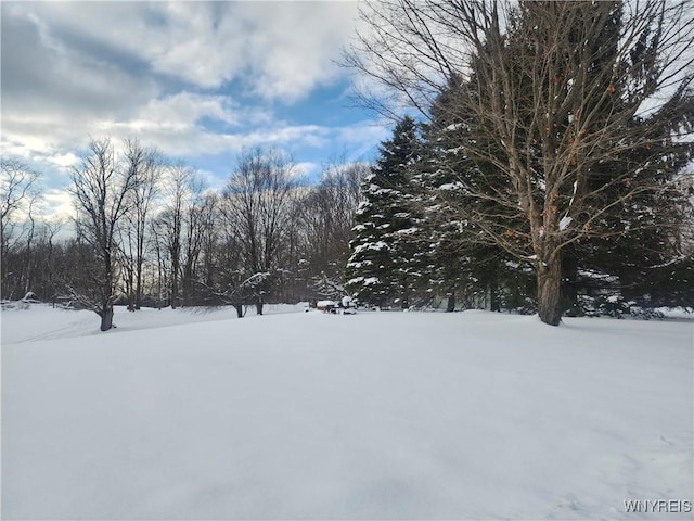 view of yard layered in snow