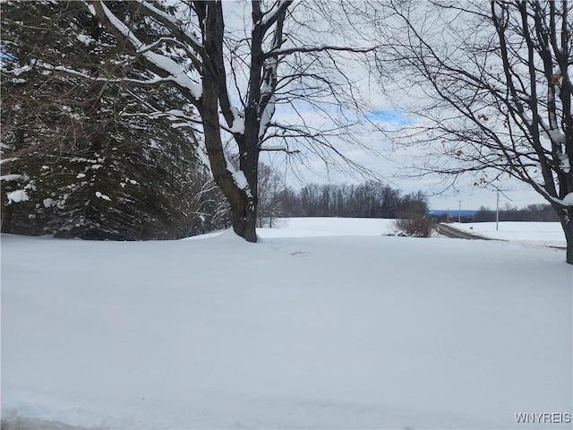 view of snowy yard