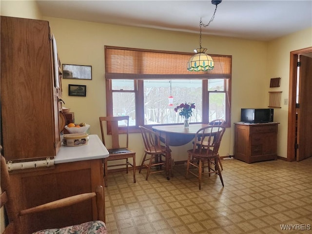 dining room with a healthy amount of sunlight