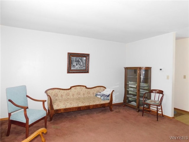 living area with carpet flooring