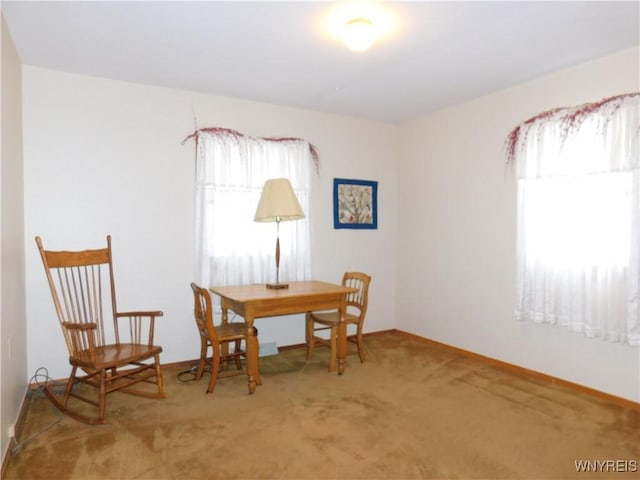 sitting room with carpet