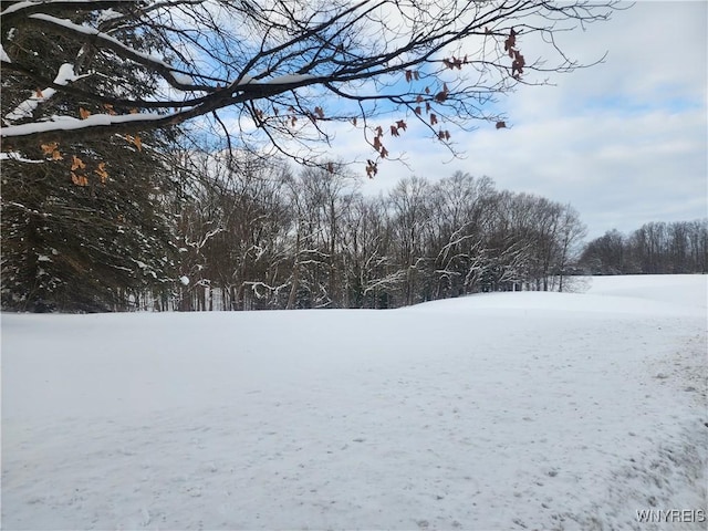 view of yard layered in snow