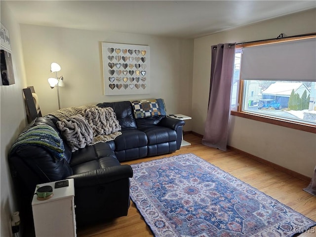 living room with light wood-type flooring