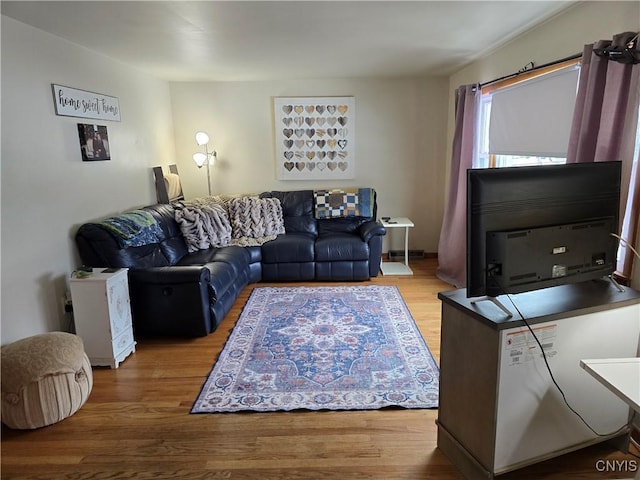 living room featuring hardwood / wood-style floors