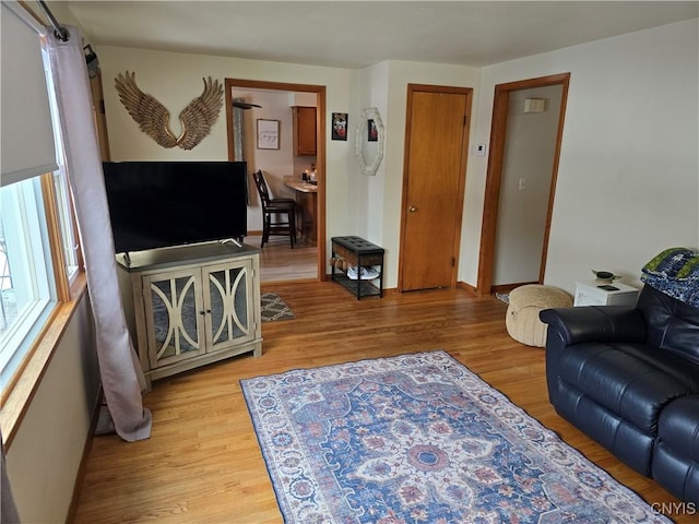 living room with light hardwood / wood-style floors