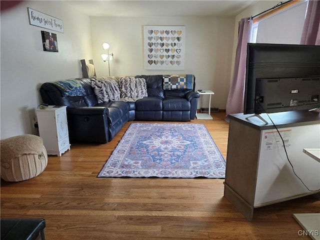 living room featuring wood-type flooring