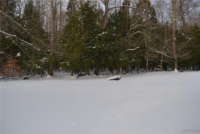 view of snowy landscape