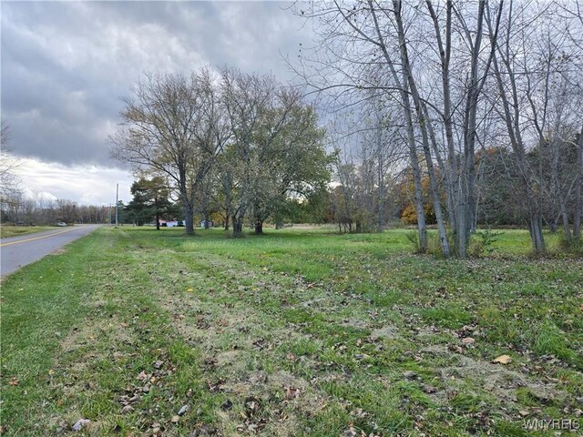 1398 Arlington Rd, Somerset, NY 14012 - photo 13