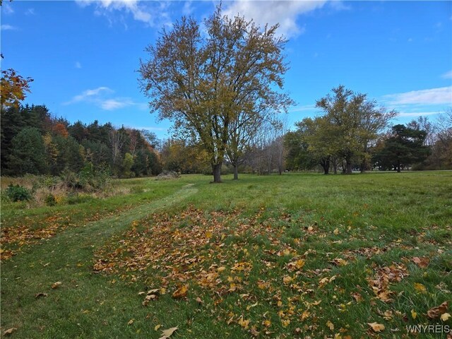 1398 Arlington Rd, Somerset, NY 14012 - photo 15