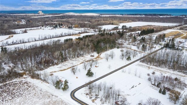 1398 Arlington Rd, Somerset, NY 14012 - photo 33