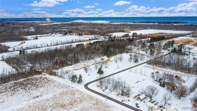 1398 Arlington Rd, Somerset, NY 14012 - photo 34