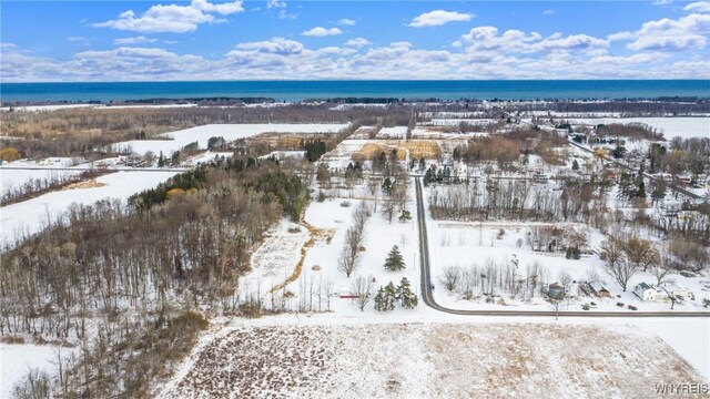 1398 Arlington Rd, Somerset, NY 14012 - photo 36