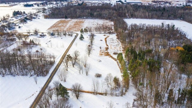 1398 Arlington Rd, Somerset, NY 14012 - photo 41