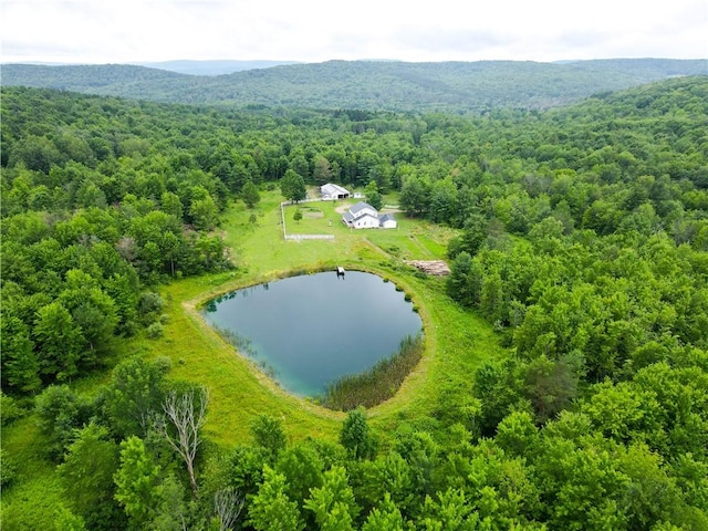 aerial view with a water view and a view of trees