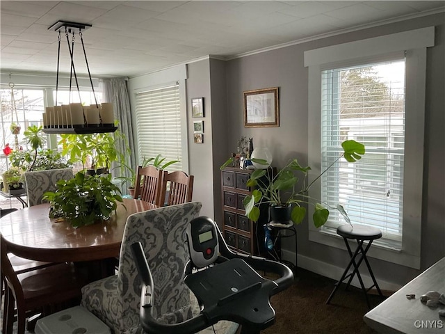 dining area featuring ornamental molding