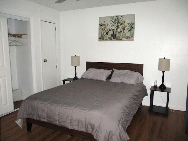 bedroom featuring dark hardwood / wood-style flooring