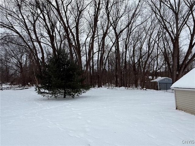 view of yard layered in snow