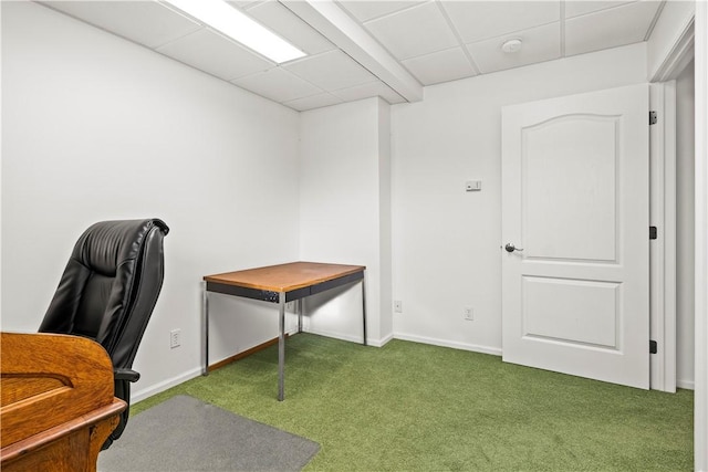 office space featuring carpet flooring and a drop ceiling