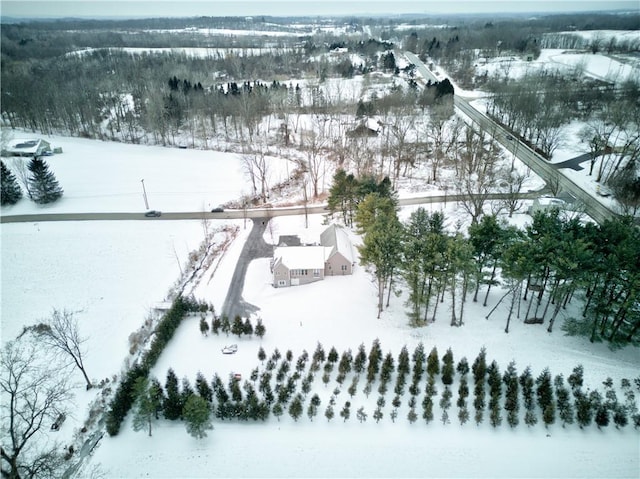 view of snowy aerial view