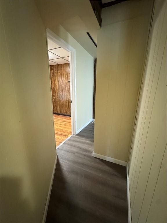 corridor with dark hardwood / wood-style floors and wooden walls