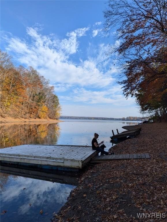 view of dock with a water view