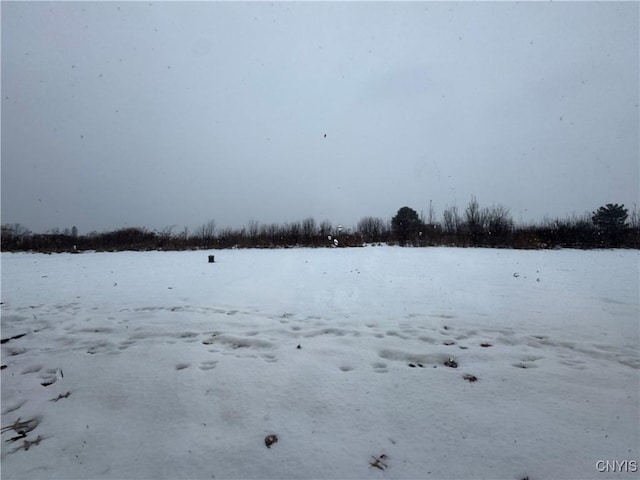 view of yard covered in snow