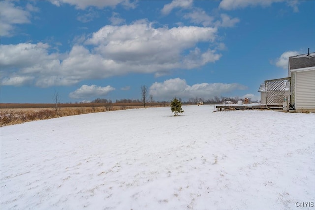 view of yard covered in snow