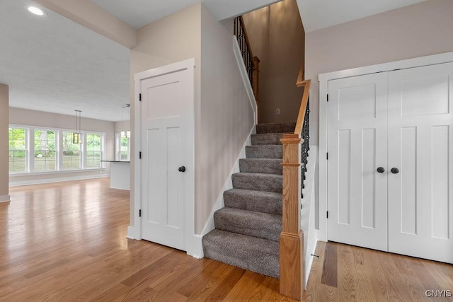 stairway featuring wood-type flooring