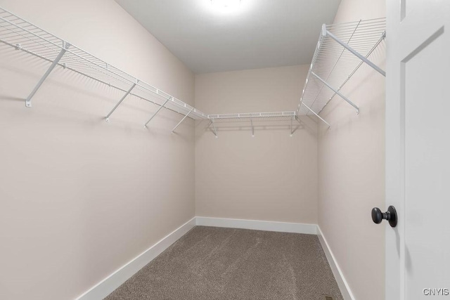 spacious closet with carpet floors