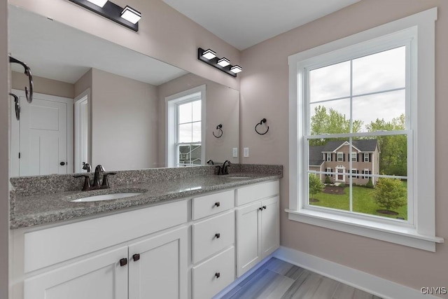 bathroom featuring wood-type flooring, plenty of natural light, and vanity