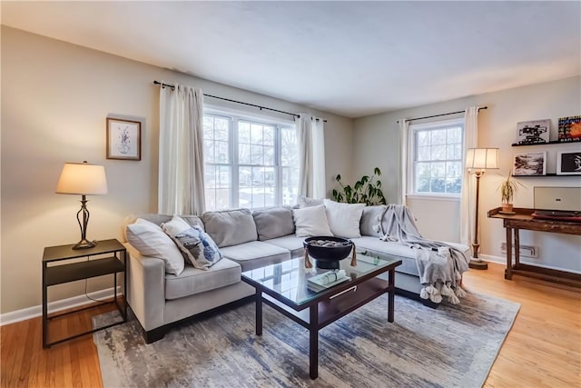 living room with hardwood / wood-style floors