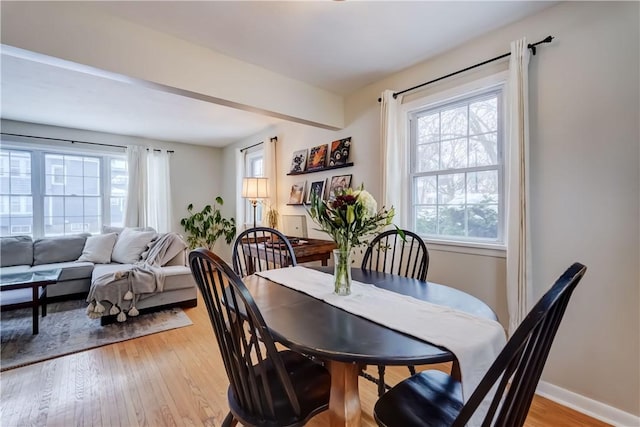 dining space featuring a wealth of natural light and light hardwood / wood-style flooring