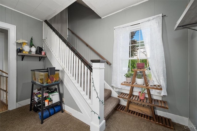 stairs featuring carpet and crown molding