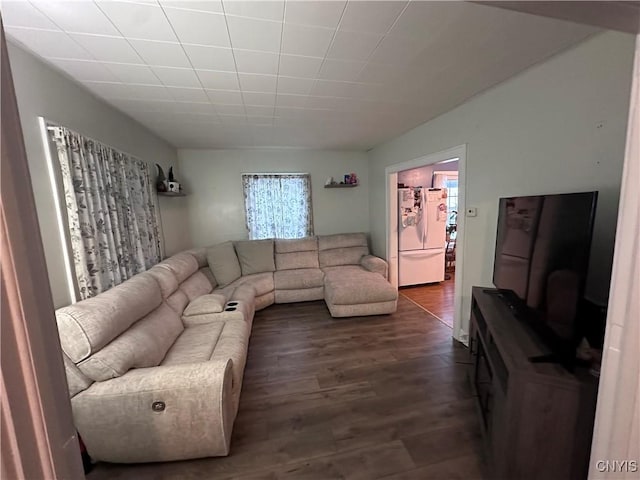 living room with dark hardwood / wood-style flooring