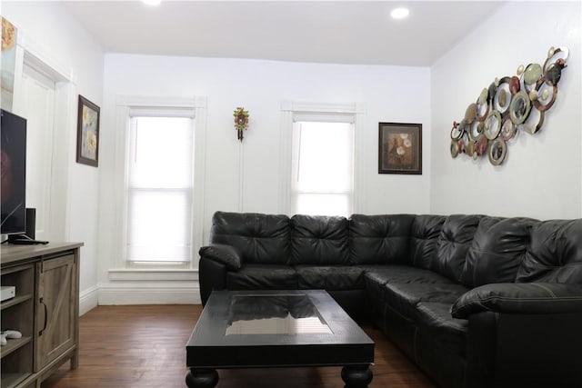 living room featuring dark hardwood / wood-style flooring