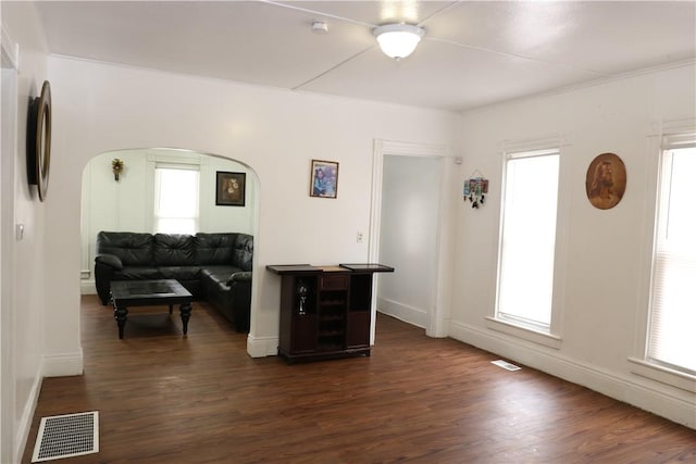 living room with dark hardwood / wood-style floors and plenty of natural light