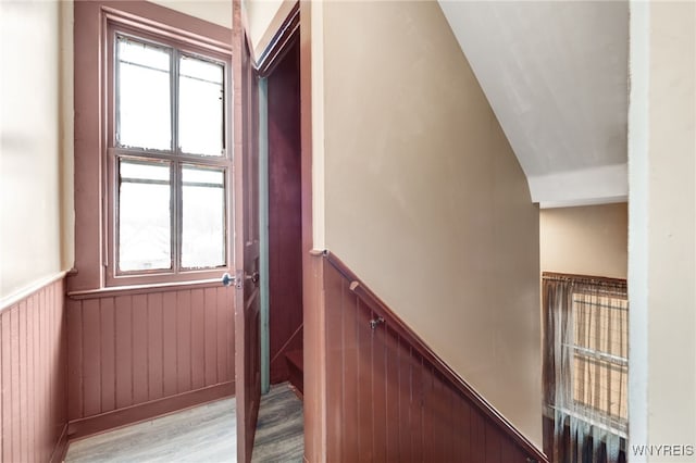 stairs with lofted ceiling, wood-type flooring, and wooden walls