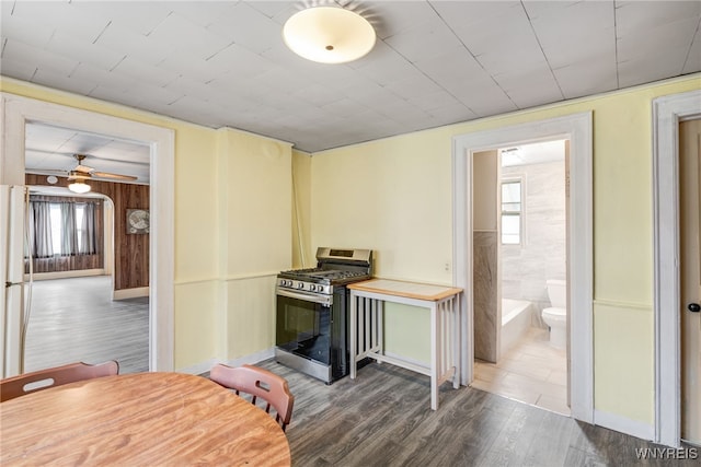 kitchen with hardwood / wood-style flooring, ceiling fan, plenty of natural light, and stainless steel range with gas cooktop