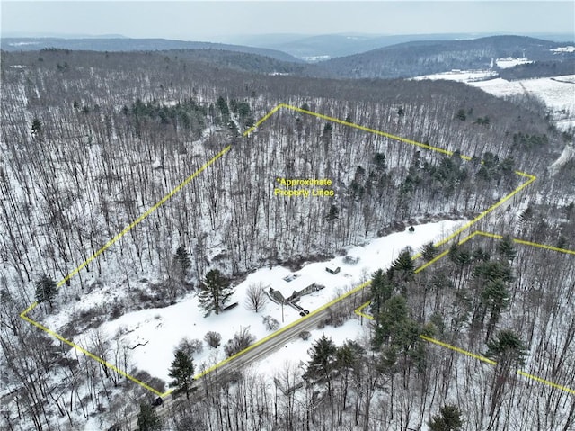 snowy aerial view with a mountain view