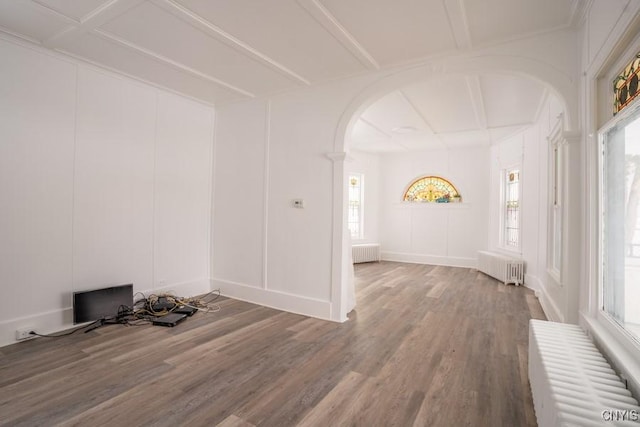 spare room featuring wood-type flooring, plenty of natural light, and radiator heating unit