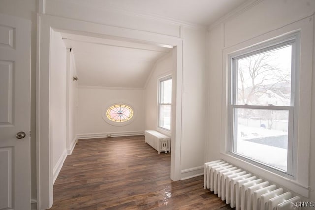 additional living space featuring radiator heating unit, dark hardwood / wood-style flooring, and vaulted ceiling