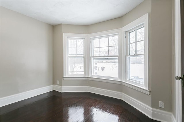 spare room featuring a wealth of natural light and wood-type flooring