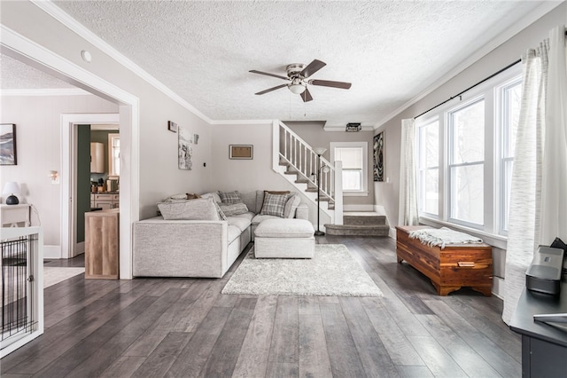 living room with ceiling fan, ornamental molding, and dark hardwood / wood-style floors