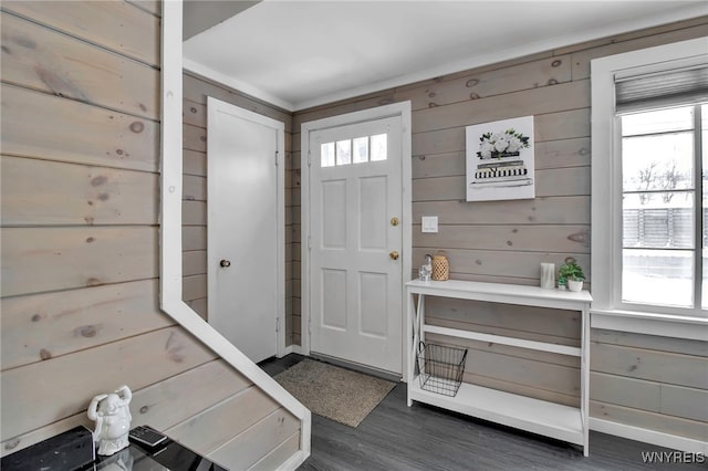 entryway with a healthy amount of sunlight, dark hardwood / wood-style flooring, and wood walls