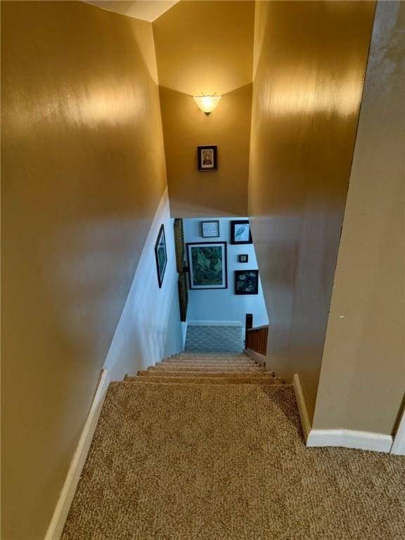 stairway with carpet flooring