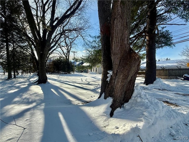 view of yard covered in snow