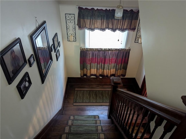 hallway with dark wood-type flooring