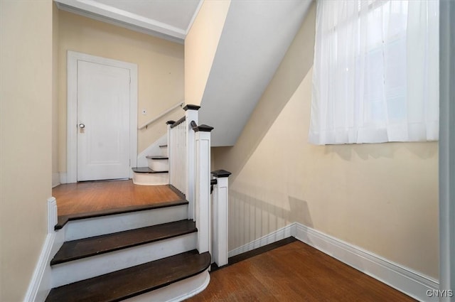 staircase featuring hardwood / wood-style flooring