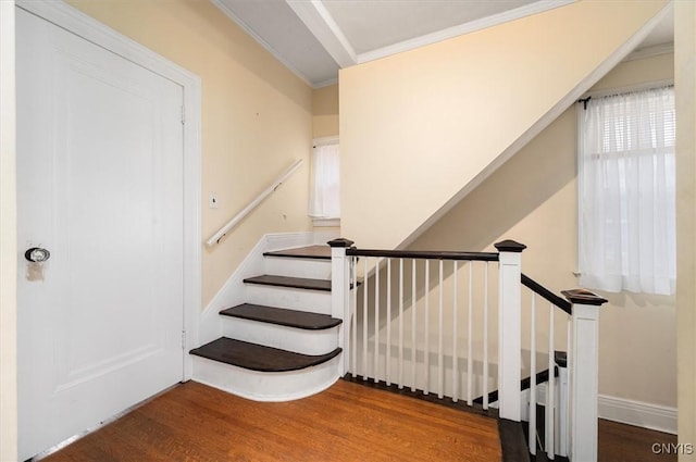 stairway featuring wood-type flooring and crown molding